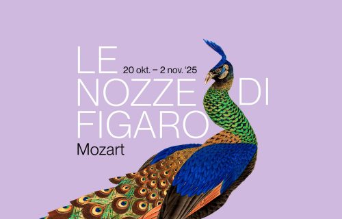 18c_Nozze_site-header